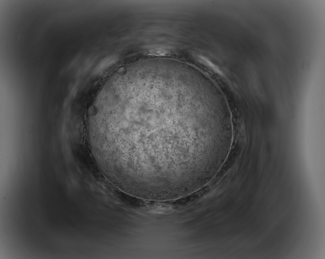 X0000085061446200703051429