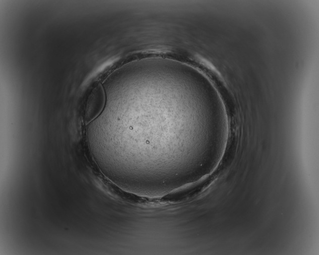 X0000085061448200703051428