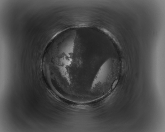 X0000085061449200703051428