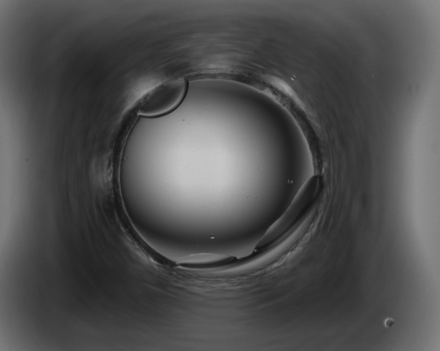 X0000085061450200703051428