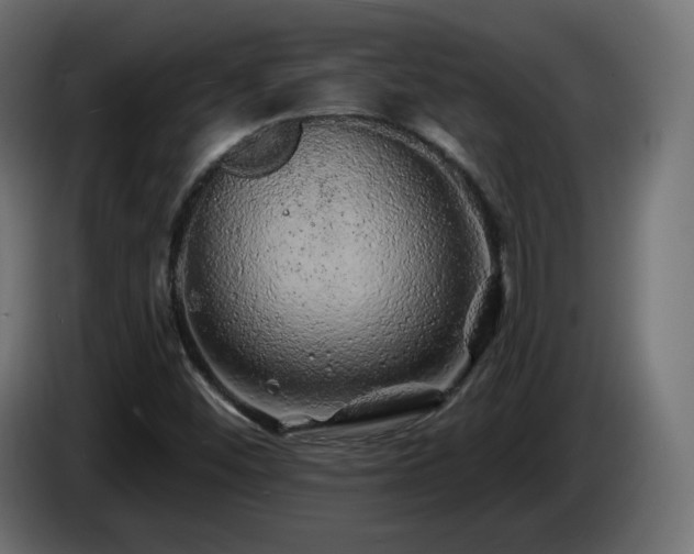 X0000085061452200703051428