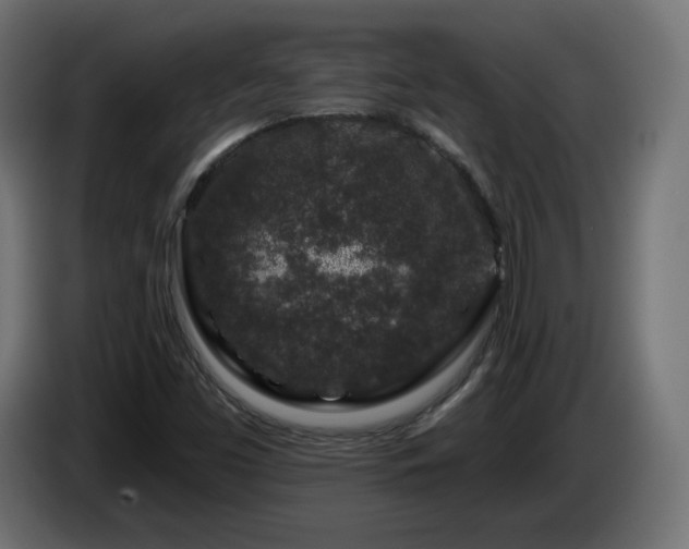X0000085061453200703051428