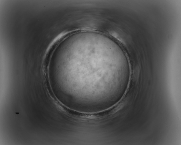 X0000085061454200703051428