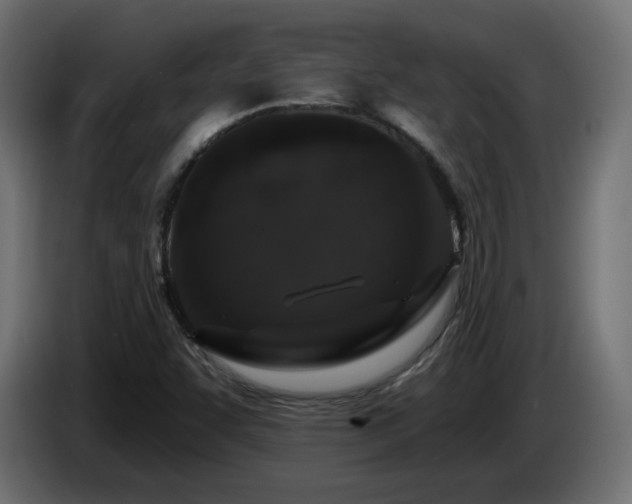 X0000085061455200703051428