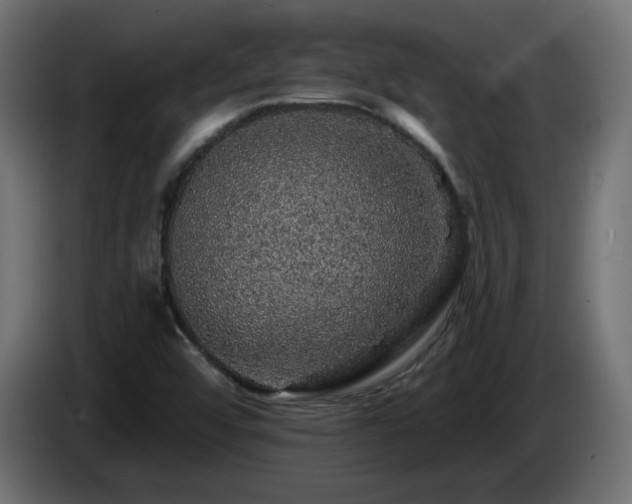 X0000085061456200703051428