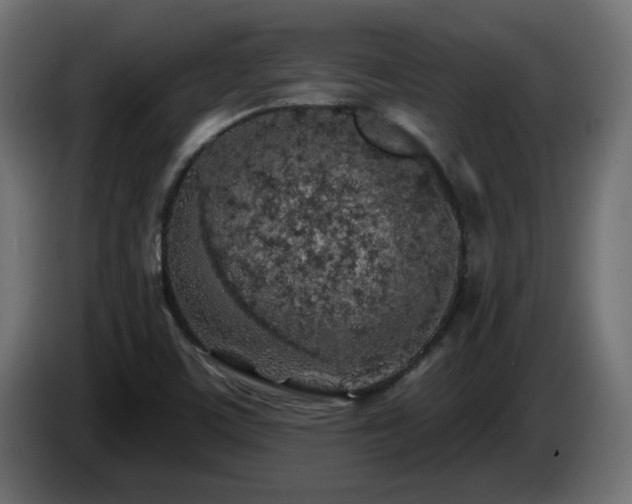 X0000085061459200703051428