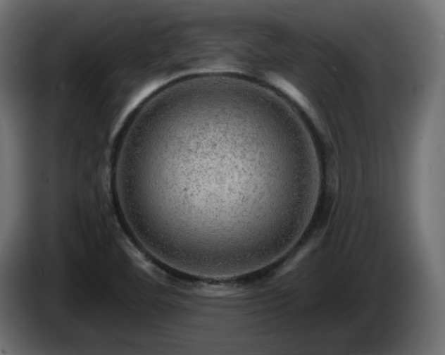 X0000085061460200703051428