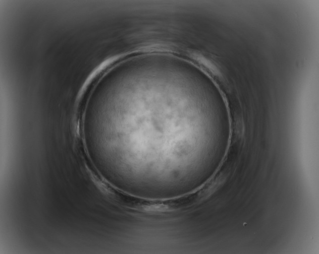 X0000085061462200703051428