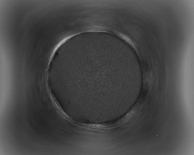 X0000085061463200703051428