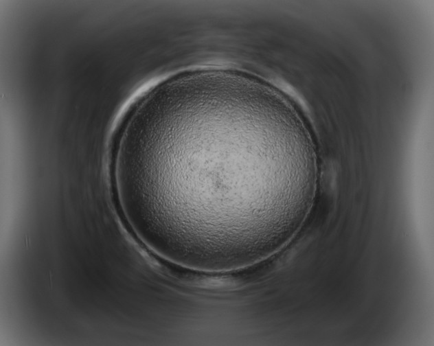 X0000085061464200703051428