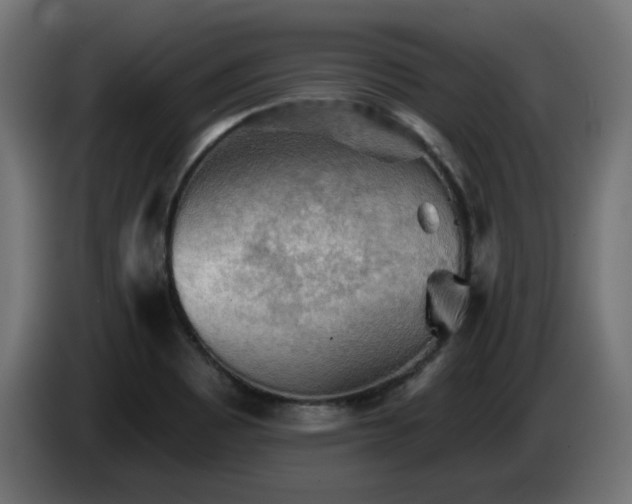 X0000085061465200703051428