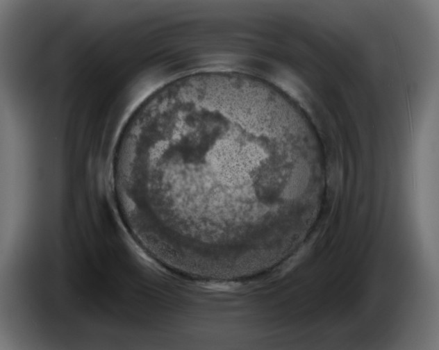 X0000085061466200703051428