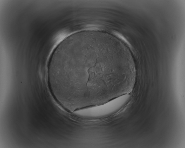 X0000085061467200703051428