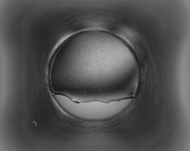 X0000085061468200703051428