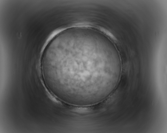 X0000085061470200703051428