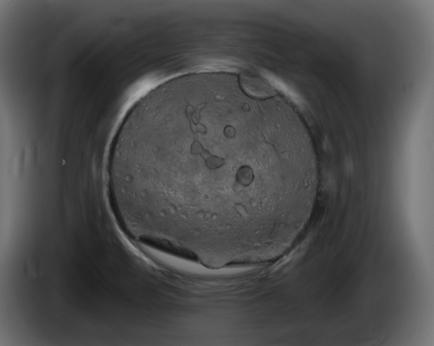 X0000085061471200703051428