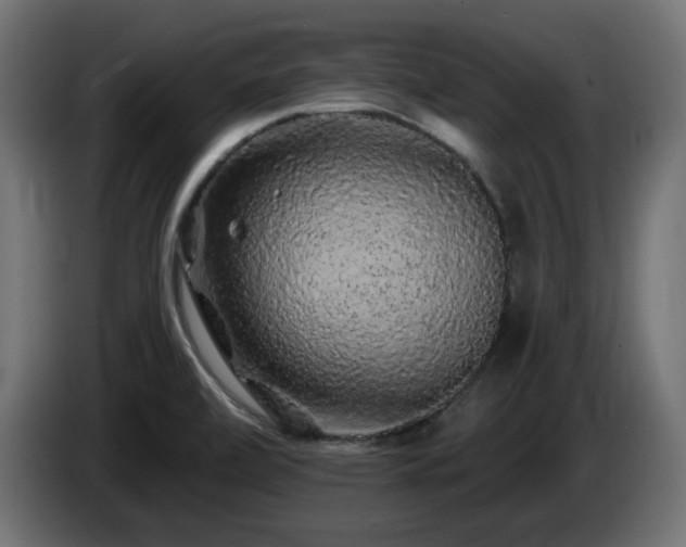 X0000085061472200703051428