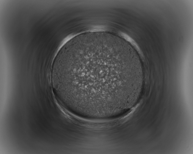 X0000085061473200703051428