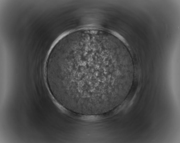 X0000085061474200703051428