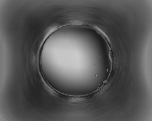 X0000085061475200703051428