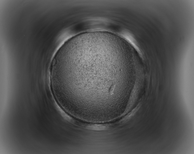X0000085061476200703051428