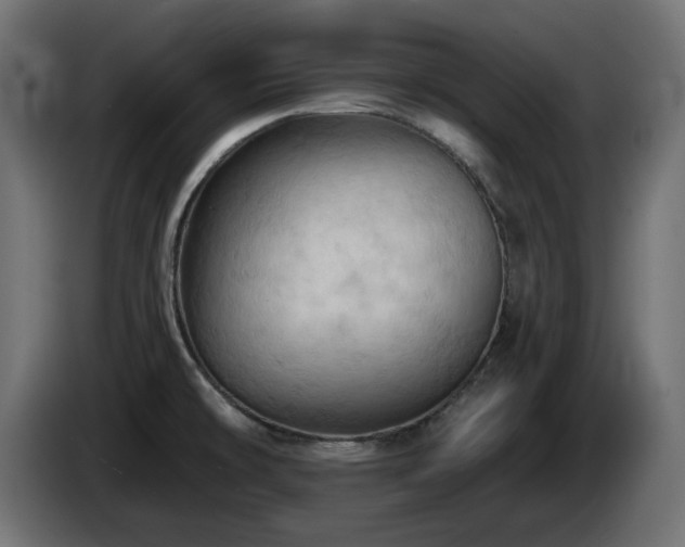 X0000085061478200703051428