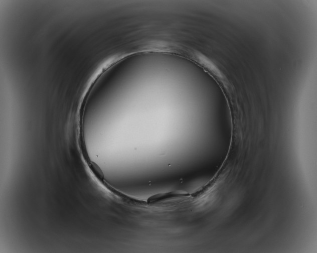X0000085061479200703051428