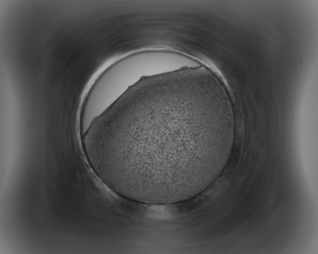 X0000085061480200703051428