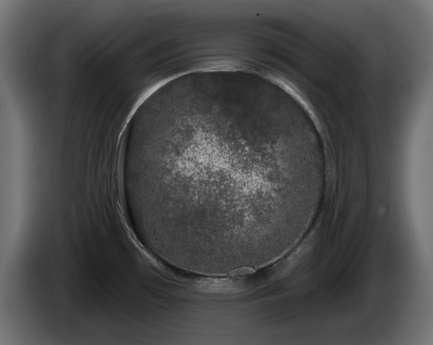 X0000085061481200703051428