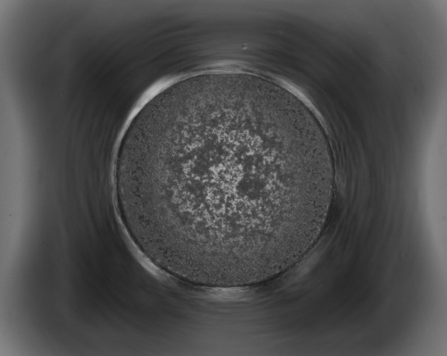 X0000085061482200703051428