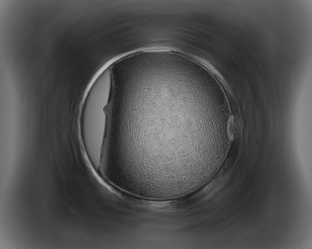 X0000085061484200703051428