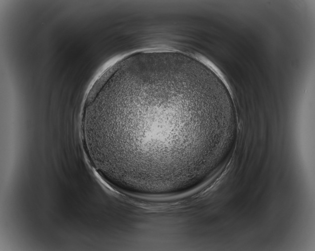 X0000085061485200703051428