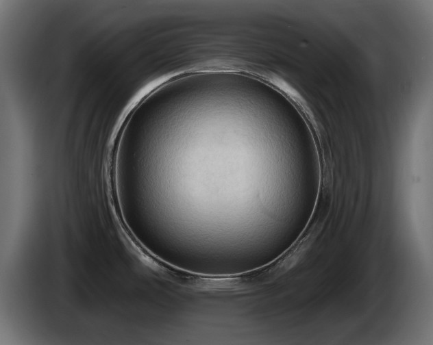 X0000085061486200703051428