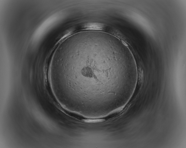 X0000085061487200703051428