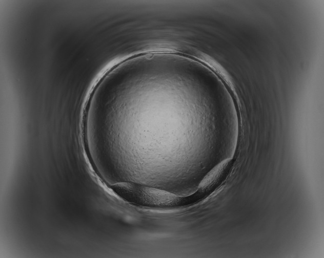 X0000085061488200703051428