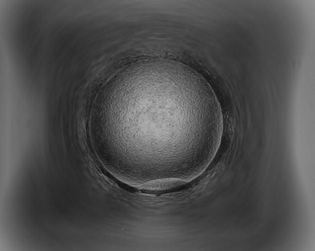X0000085061489200703051427