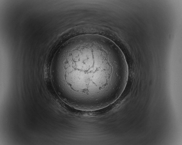 X0000085061490200703051427