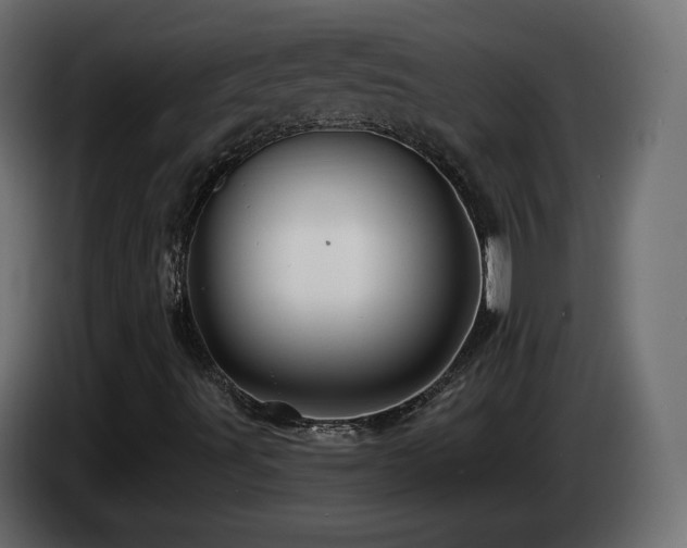 X0000085061491200703051427