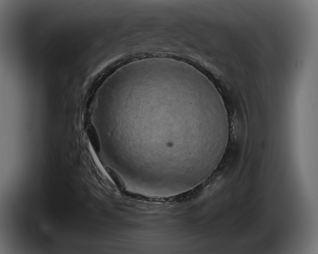 X0000085061494200703051427