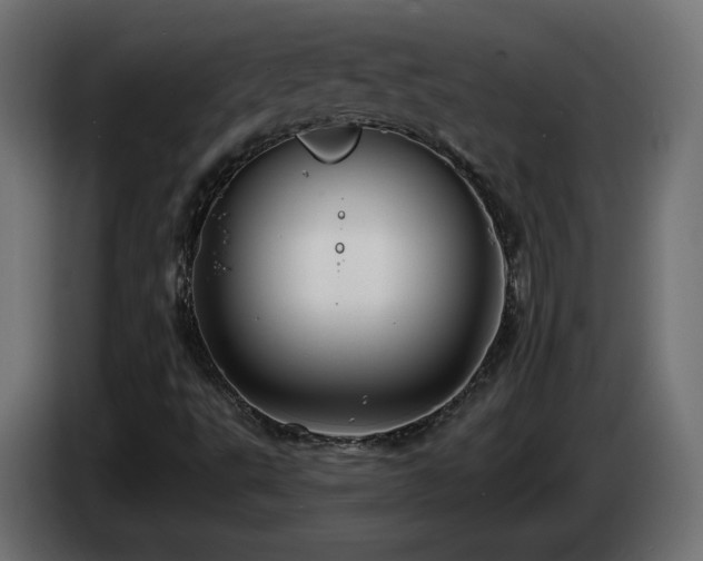 X0000085061495200703051427