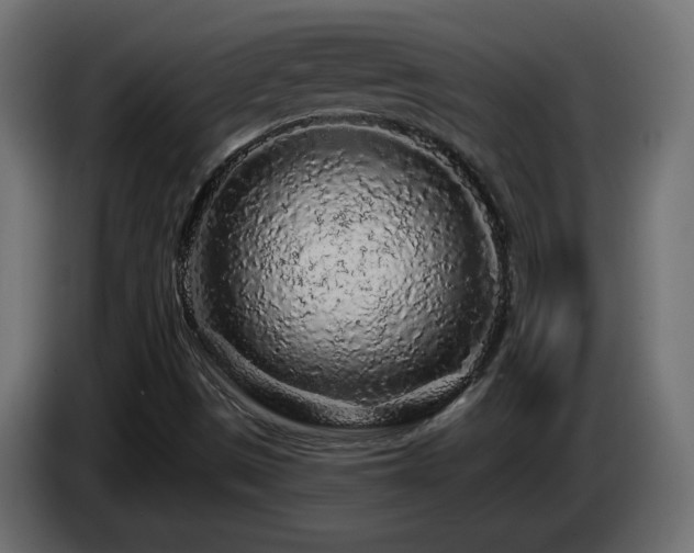 X0000085061497200703051427