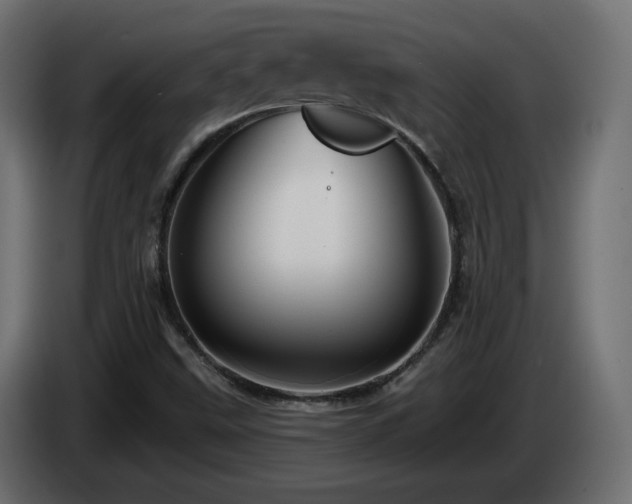 X0000085061499200703051427