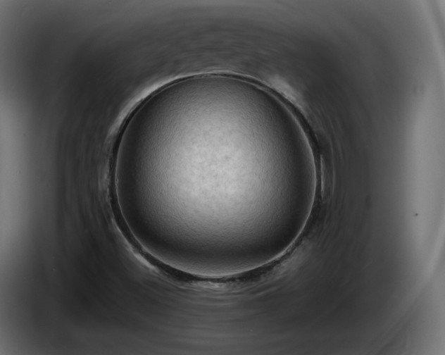 X0000085061500200703051427