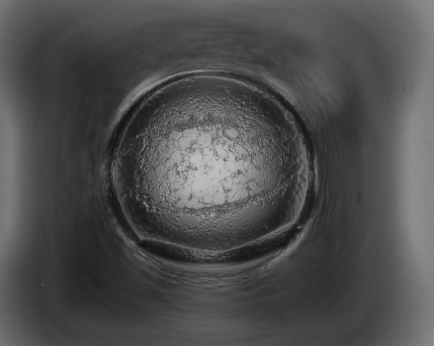 X0000085061501200703051427