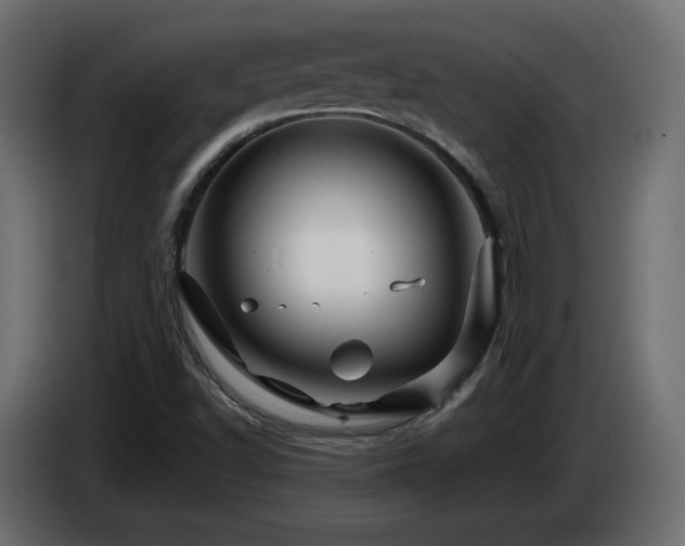 X0000085061502200703051427
