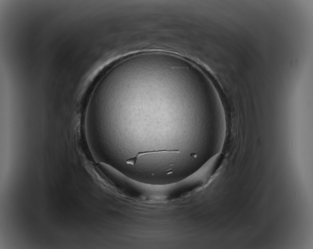 X0000085061503200703051427