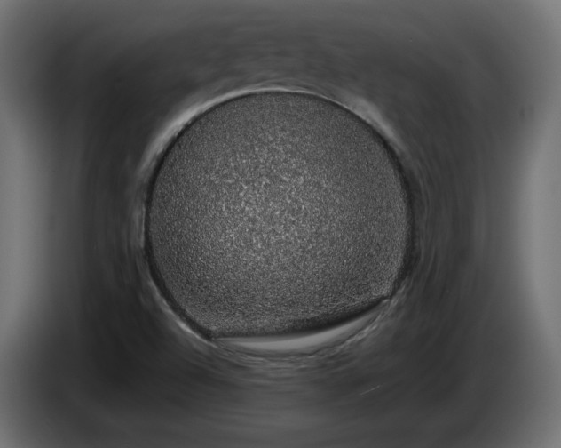 X0000085061504200703051427