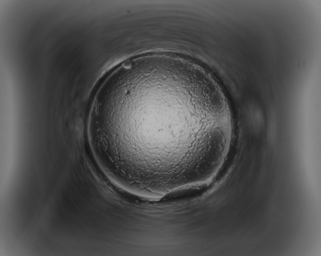 X0000085061505200703051427