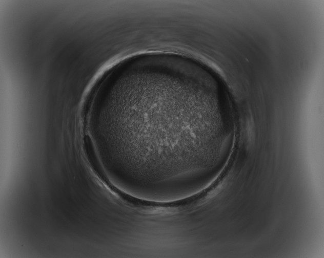X0000085061506200703051428