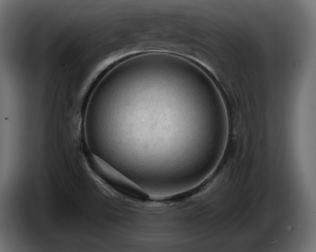 X0000085061507200703051428